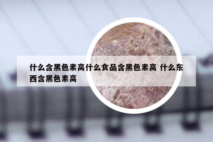 什么含黑色素高什么食品含黑色素高 什么东西含黑色素高