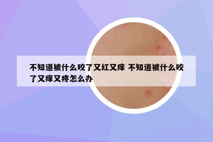 不知道被什么咬了又红又痒 不知道被什么咬了又痒又疼怎么办