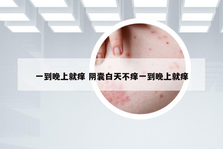 一到晚上就痒 阴囊白天不痒一到晚上就痒
