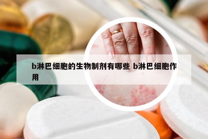 b淋巴细胞的生物制剂有哪些 b淋巴细胞作用