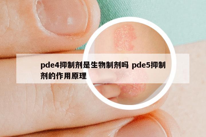 pde4抑制剂是生物制剂吗 pde5抑制剂的作用原理