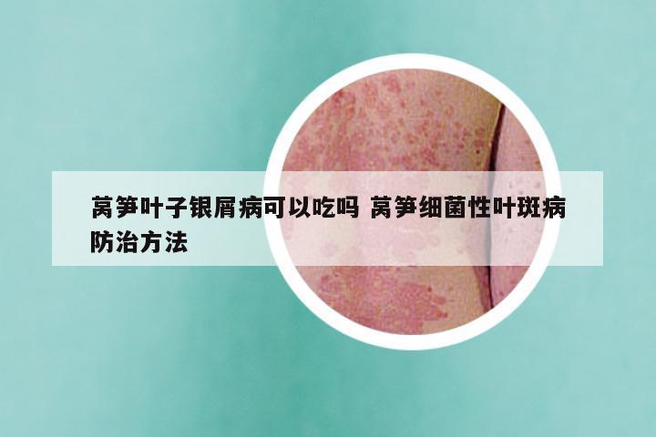 莴笋叶子银屑病可以吃吗 莴笋细菌性叶斑病防治方法