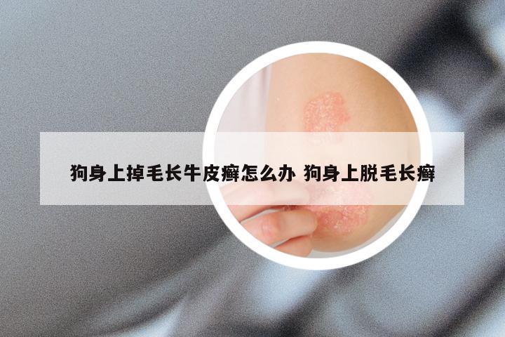 狗身上掉毛长牛皮癣怎么办 狗身上脱毛长癣